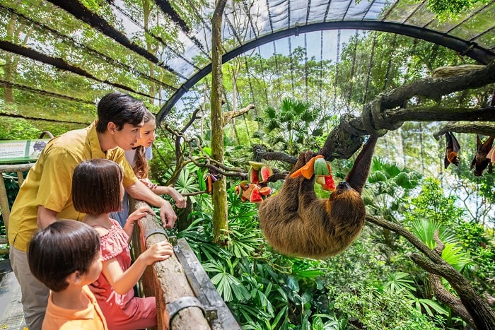 Khám phá các loài động vật ở sở thú Singapore