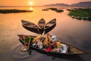 Đến đầm Trà Ổ Bình Định khám phá vẻ đẹp thơ mộng miền sông nước 