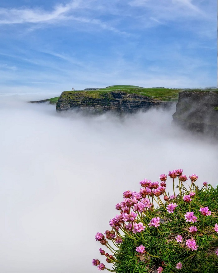 Vách đá Moher là vách đá nổi tiếng thế giới còn được gọi là vách đá Bồ Công Anh