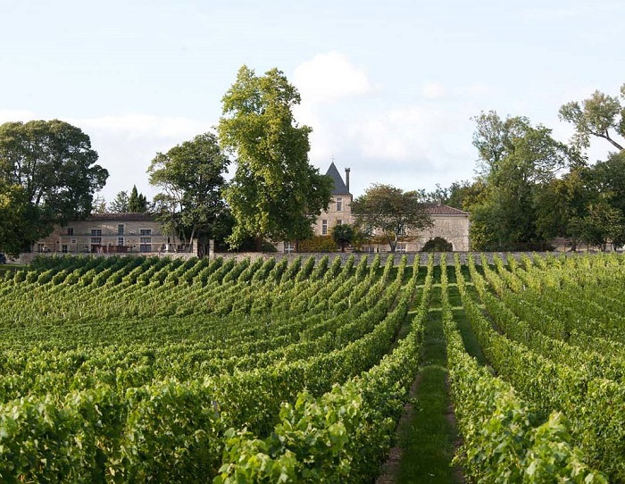 Bordeaux là nơi có nhiều vườn nho nổi tiếng thế giới