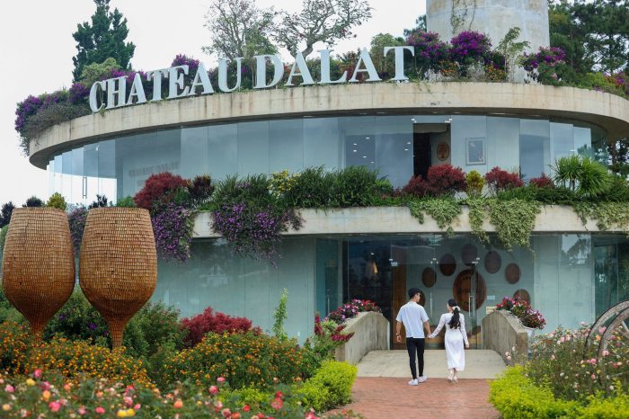 các hầm rượu vang ở Đà Lạt Ladofoods