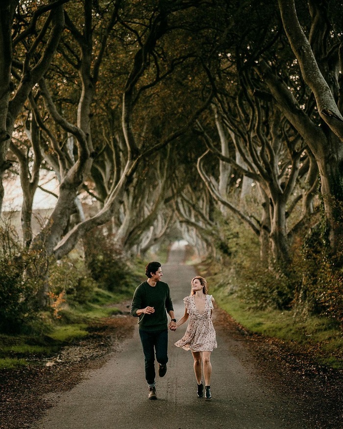 The Dark Hedges là điểm đến ít người biết ở châu Âu mà bạn nên ghé thăm