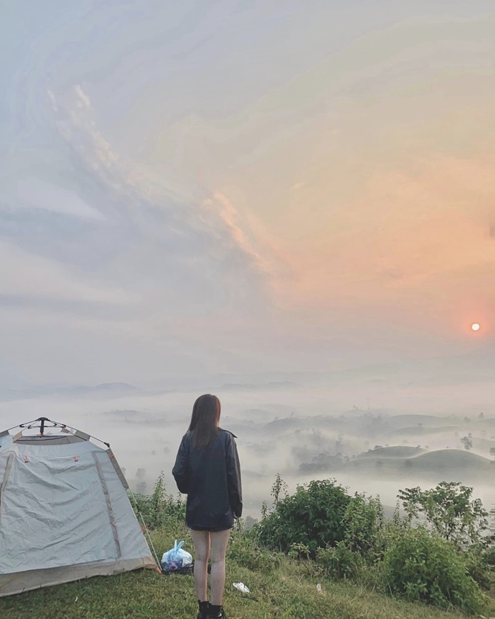 điểm du lịch Phú Thọ 2/9 - Đồi chè Long Cốc