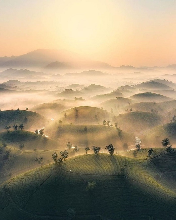 Long Cốc là một trong những đồi chè đẹp nhất thế giới, nằm tại Việt Nam