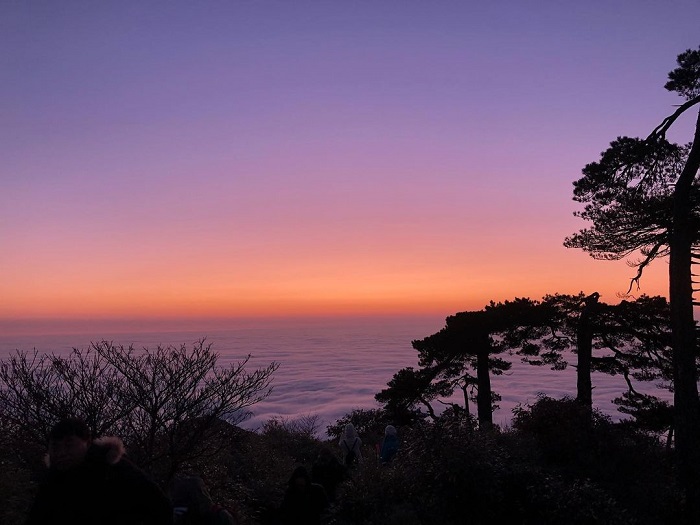 Núi Tam Thanh là một trong những thiên đường săn mây trên thế giới mà bạn nên ghé thăm