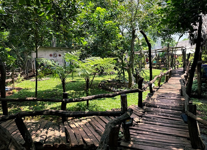 cảnh đẹp ở vườn Ba Tui Châu Đức  