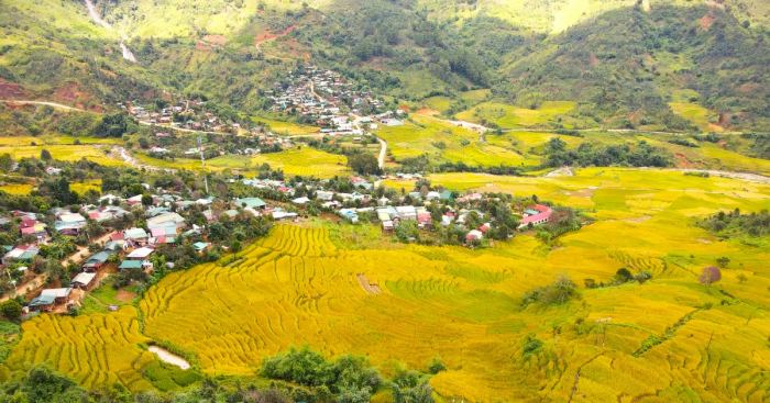 điểm ngắm lúa chín ở Tây Nguyên Măng Ri