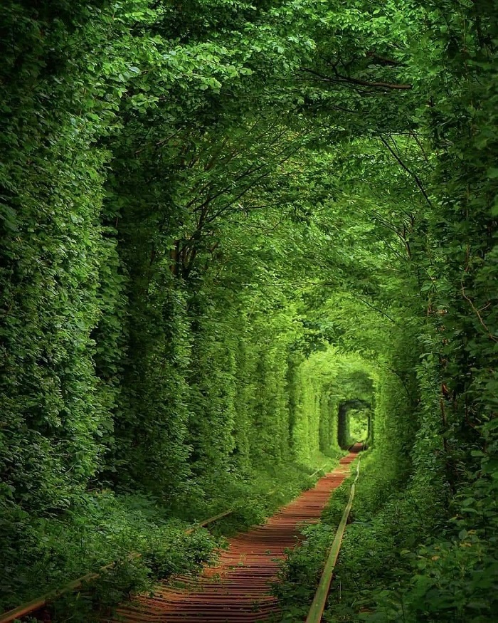 Tunnel of Love là đường hầm tự nhiên trên thế giới tuyệt đẹp ở Ukraina 