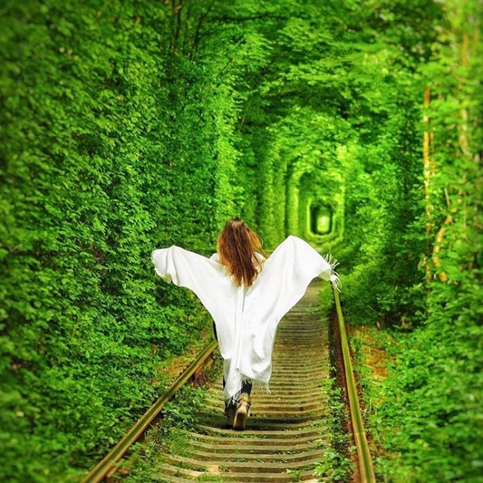 Tunnel of Love là đường hầm tự nhiên trên thế giới như bước ra từ cổ tích