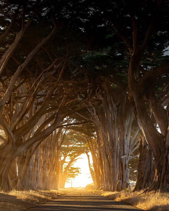 Point Reyes là đường hầm tự nhiên trên thế giới vô cùng lãng mạn