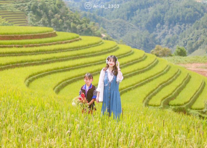 Kinh nghiệm du lịch mùa lúa chín để ngắm ruộng bậc thang tại Mù Cang Chải