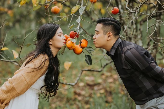 mùa hồng chín ở Đà Lạt Vườn hồng Mimosa