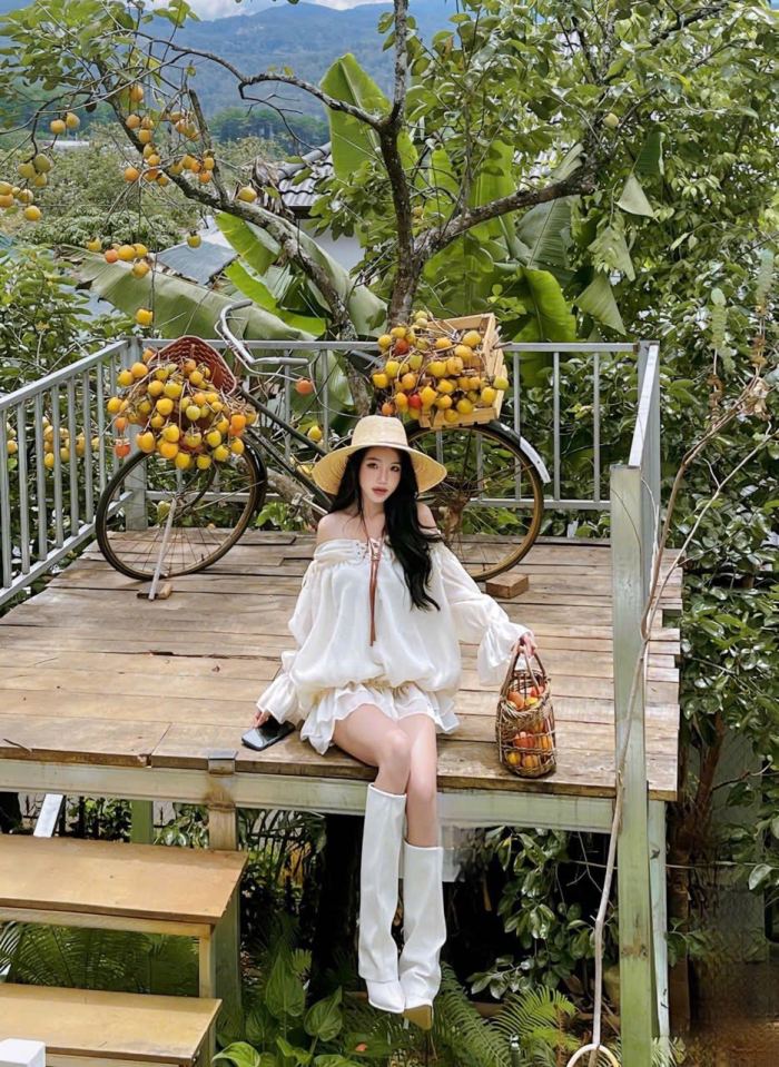 mùa hồng chín ở Đà Lạt 