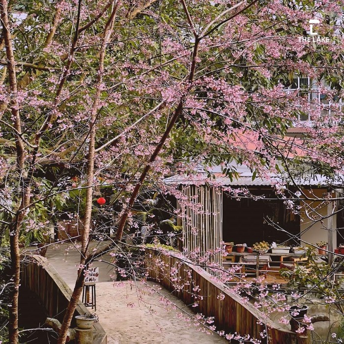 The Lake Coffee Mộc Châu mùa nào cũng đẹp