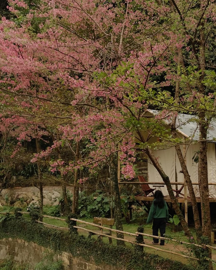 The Lake Coffee Mộc Châu là điểm đến mà bạn nên một lần dừng chân