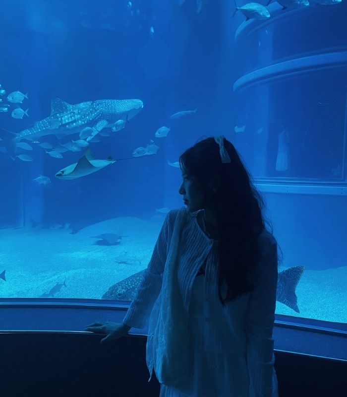 Góc checkin ấn tượng tại Thủy cung Osaka Aquarium Kaiyukan