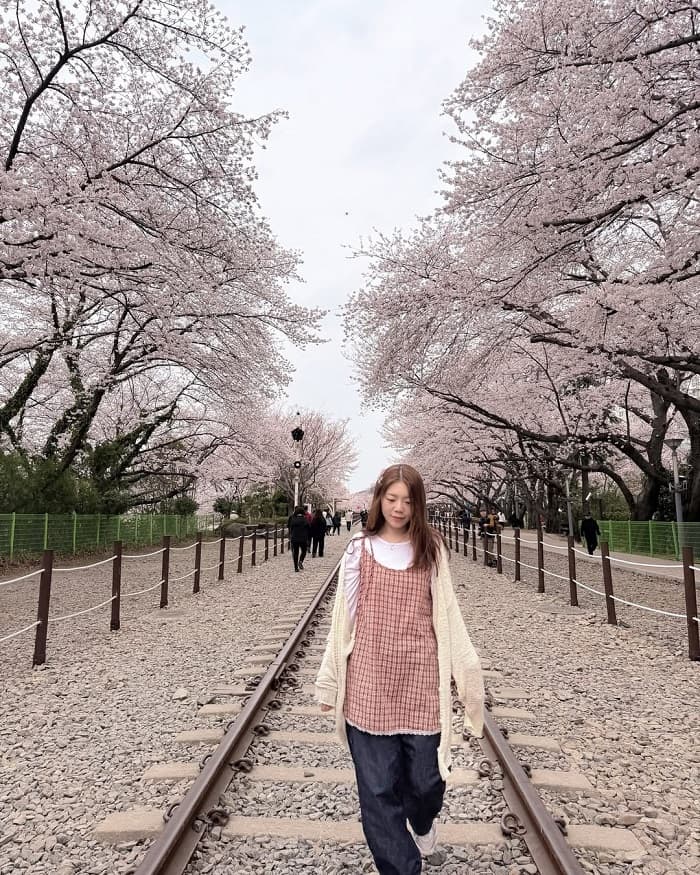 Khám phá trạm xe lửa Gyeonghwa Hàn Quốc