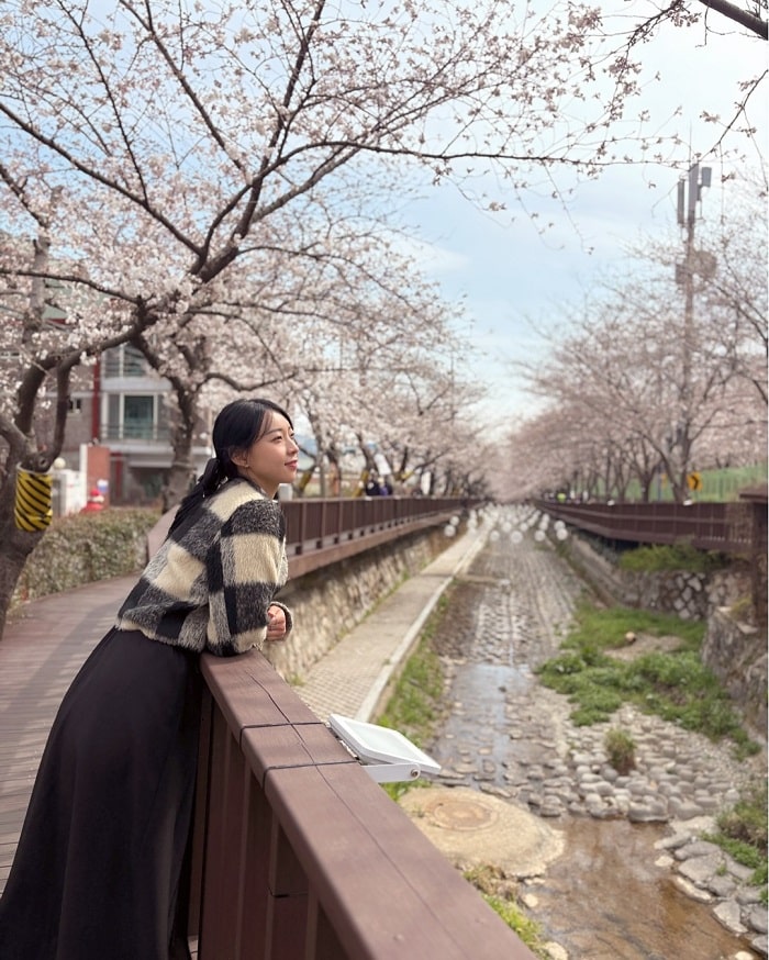 Check in trạm xe lửa Gyeonghwa Hàn Quốc