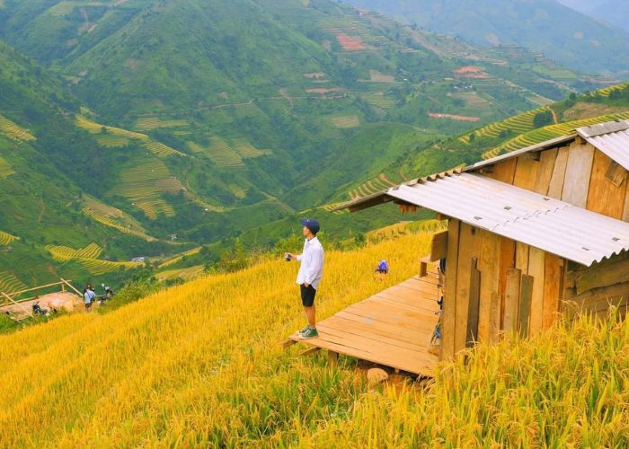 Những kinh nghiệm du lịch mùa lúa chín giúp săn mây dễ dàng hơn tại Xím Vàng