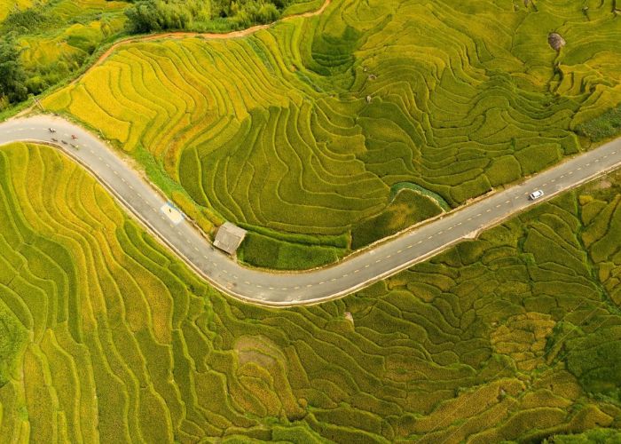 Kinh nghiệm du lịch mùa lúa chín trekking qua cung đường đẹp tại Y Tý