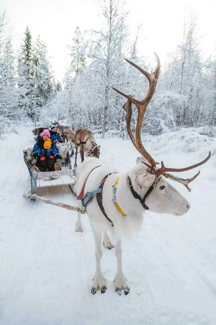 Kinh nghiệm săn cực quang ở Lapland
