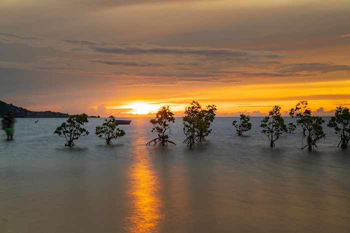 Biển vô cực Mỹ Hòa Ninh Thuận ở đâu