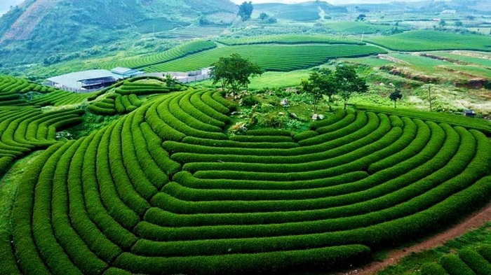 Mộc Châu sở hữu không gian trong lành và yên tĩnh - Ảnh: Bộ Văn Hóa, Thể Thao và Du Lịch