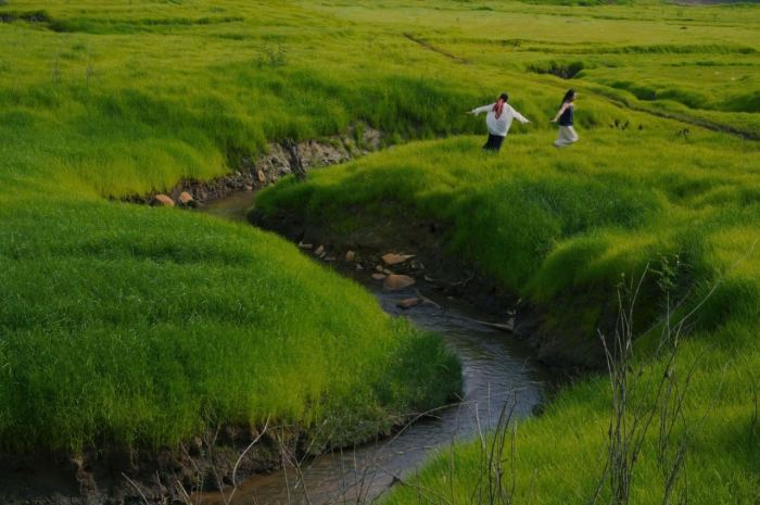 đồng cỏ xanh Tà Đùng