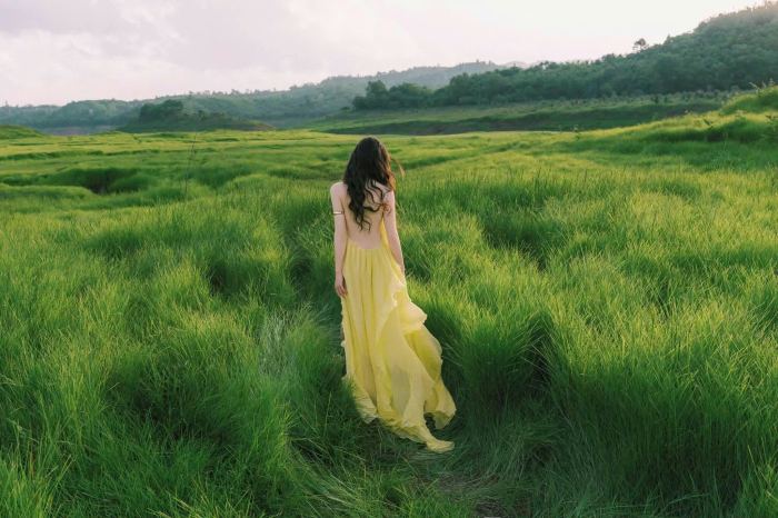 đồng cỏ xanh Tà Đùng