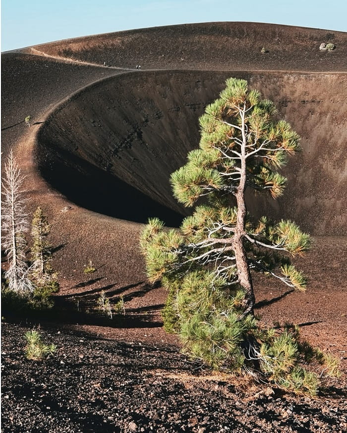 Cinder Cone ở trong công viên Quốc gia núi lửa Lassen