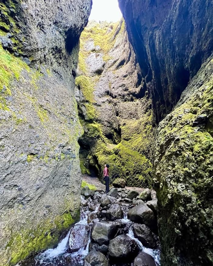 Hẻm núi Rauðfeldsgjá là điểm tham quan hàng đầu trên bán đảo Snaefellsnes Iceland