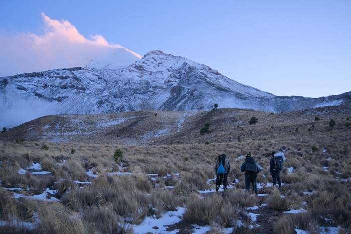 Quan sát động thực vật là hoạt động thú vị ở núi Pico de Orizaba Mexico 