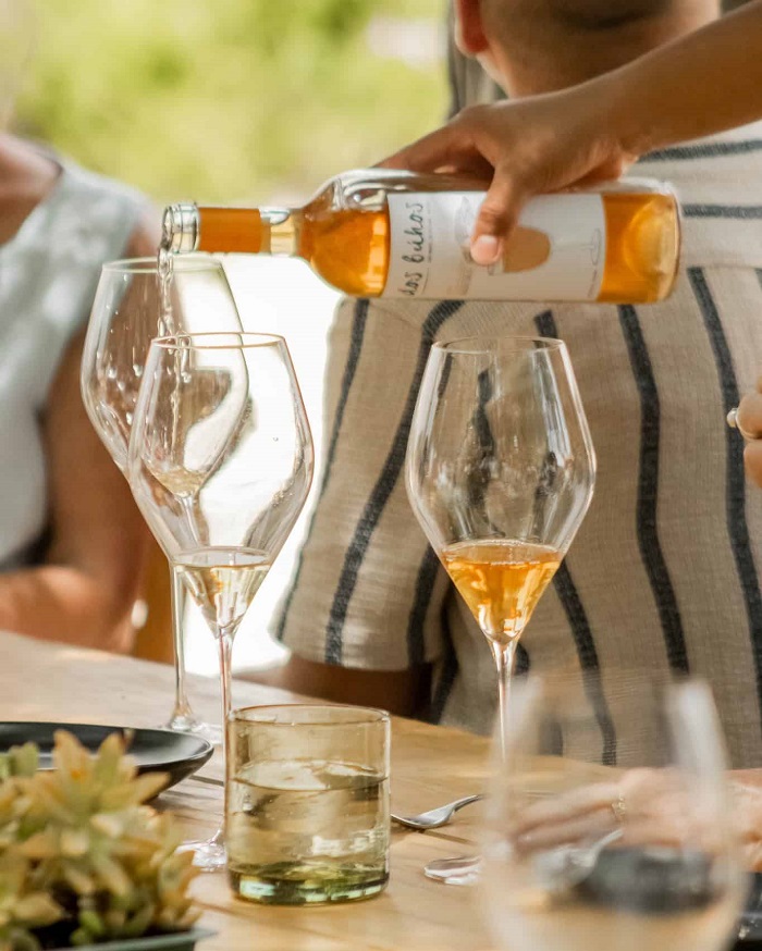 Tham gia nếm thử rượu vang tại Bodega Dos Buhos là điều nên làm ở thành phố San Miguel de Allende Mexico 