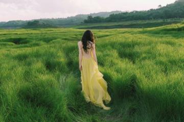 'Tuyệt đối hoạt hình' đồng cỏ xanh Tà Đùng vibe xinh như phim Ghibli giữa đời thực