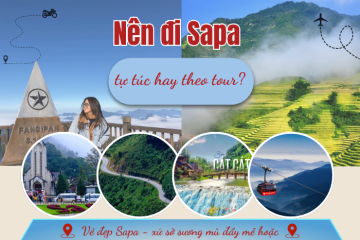 Nên đi Sapa tự túc hay theo tour? Lựa chọn nào dành riêng cho bạn