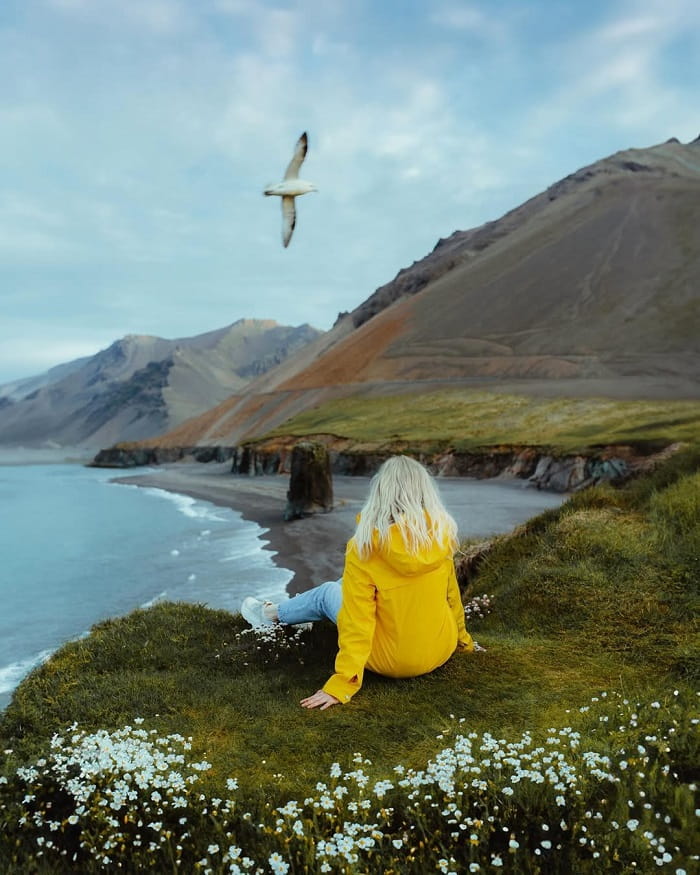 Khám phá vùng East Fjords Iceland