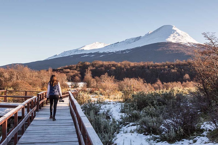 Vườn quốc gia Tierra del Fuego là điểm tham quan gần eo biển Beagle Argentina