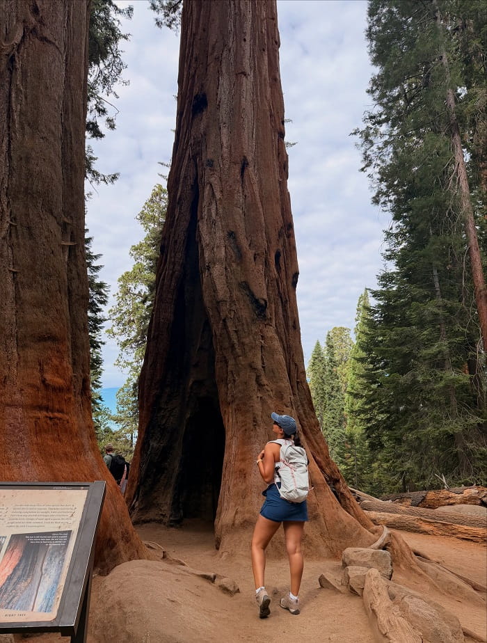 Khám phá vườn Quốc gia Sequoia Mỹ