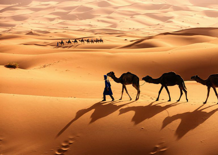 Tưởng chừng như chỉ toàn cát và nắng, sa mạc thực sự là một điểm đến lý tưởng cho những ai yêu thích sự phiêu lưu và khám phá. Tại đây, bạn sẽ được tận hưởng cảm giác tự do, mênh mông đến kỳ vĩ bên những cảnh đẹp kỳ ảo.