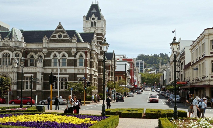 Khám phá chuyến đi du lịch thành phố Dunedin New Zealand có gì hay?
