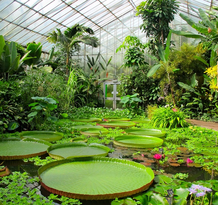 điểm đến ở Edinburgh