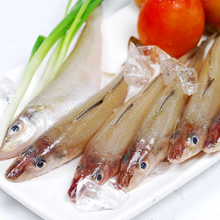 Gỏi cá Đục – món ăn đánh gục trái tim mỗi du khách khi đến du lịch Hà Tĩnh