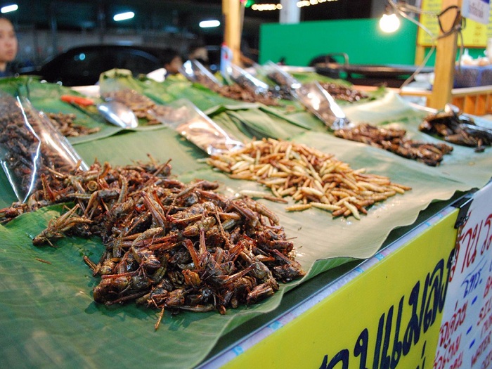 Rợn người những món ăn kinh dị của ẩm thực Thái Lan
