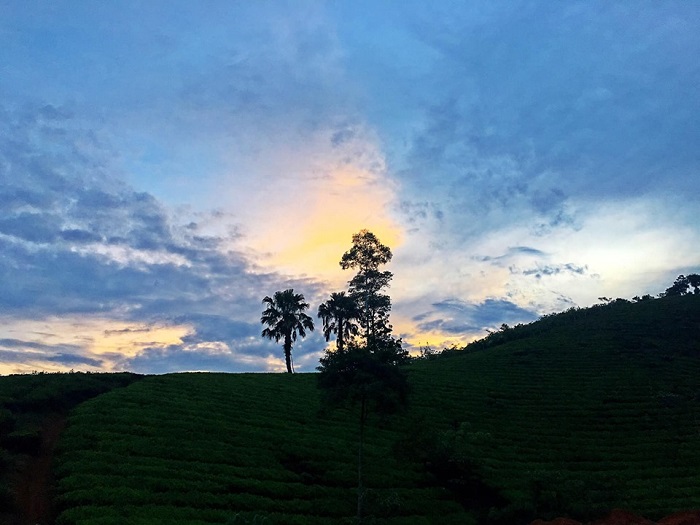 di-phu-tho-san-ngan-ha-6