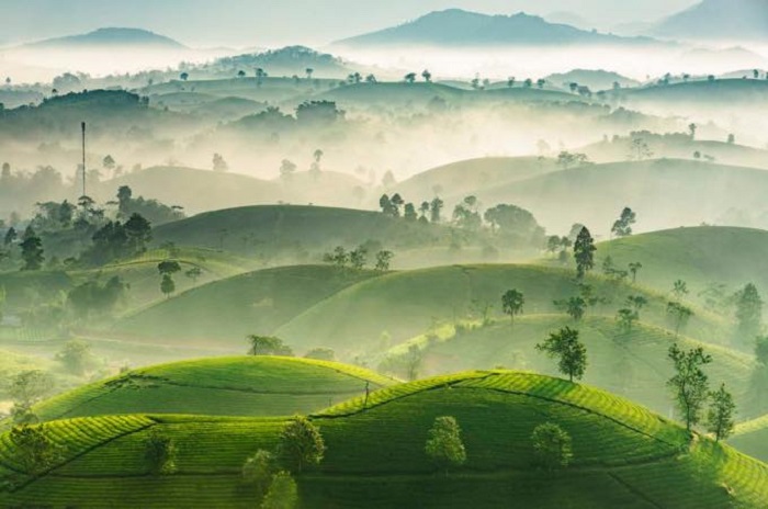 di-phu-tho-san-ngan-ha-9