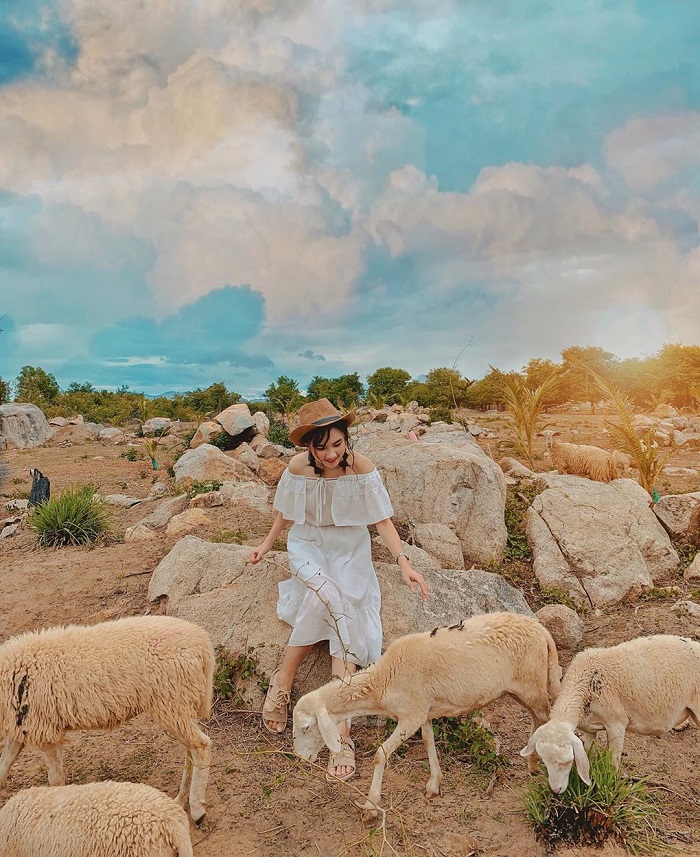 Đi Đồng Cừu Đồng Nai 1 Ngày, Có Vạn Hình ‘Sống Ảo’ Up Cả Năm Cũng Không Hết!