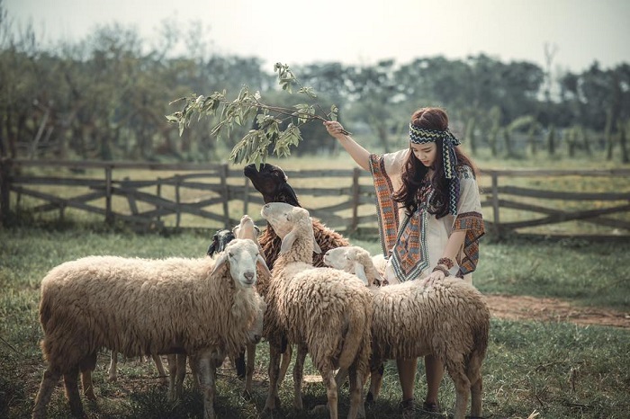 Đi Đồng Cừu Đồng Nai 1 Ngày, Có Vạn Hình ‘Sống Ảo’ Up Cả Năm Cũng Không Hết!