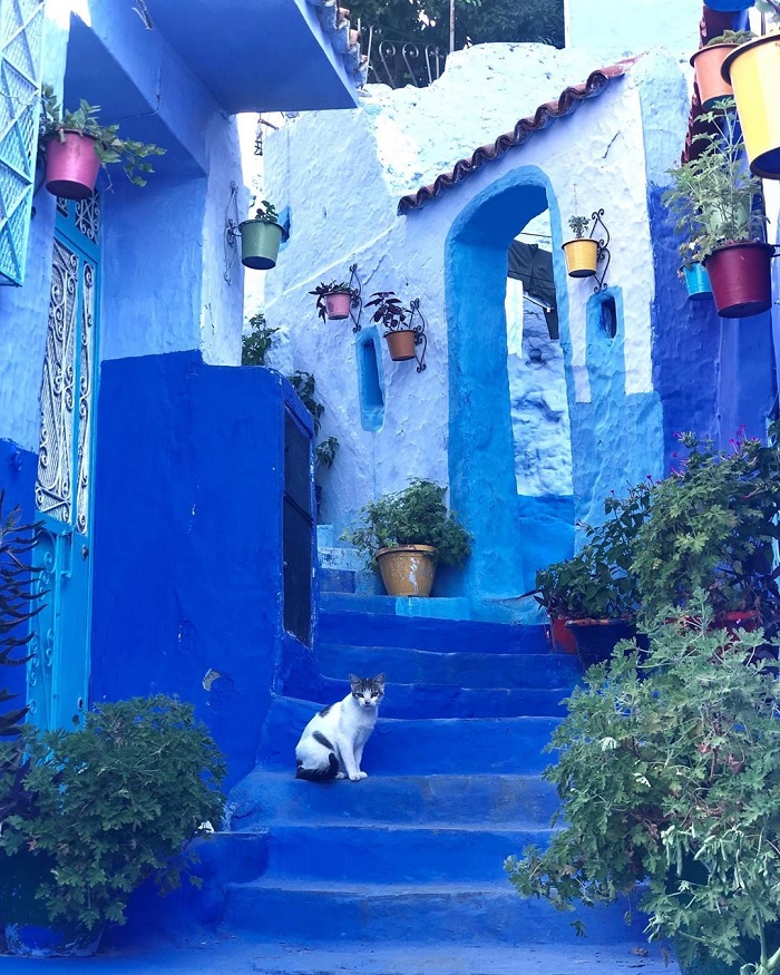 Thành phố Chefchaouen Morocco - Viên ngọc xanh ở xứ sở diệu kỳ 