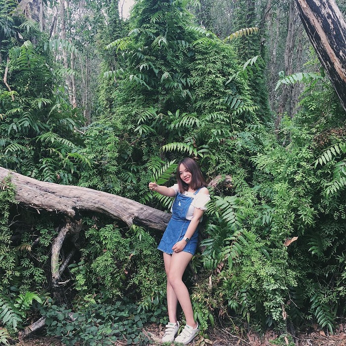 I thought I was lost in the mysterious forest in Binh Chau National Forest, Vung Tau