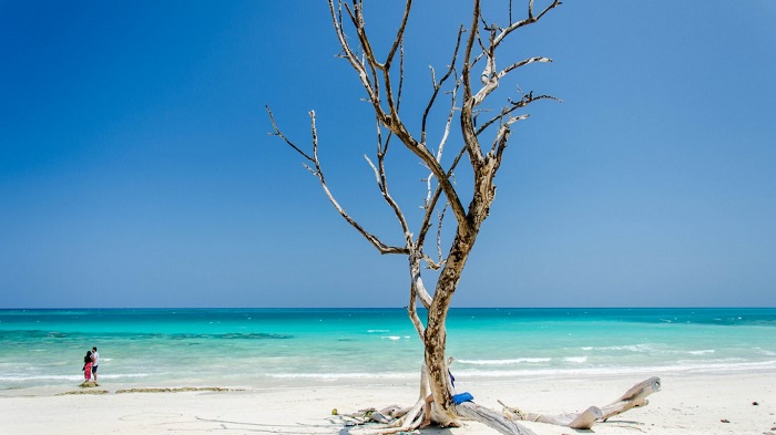 Bãi biển ở đảo Havelock - Nơi có nước xanh nhất thế giới